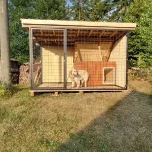 20230722_185253 (1)